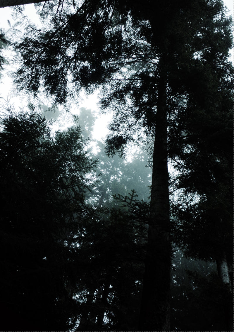 Zine page 10